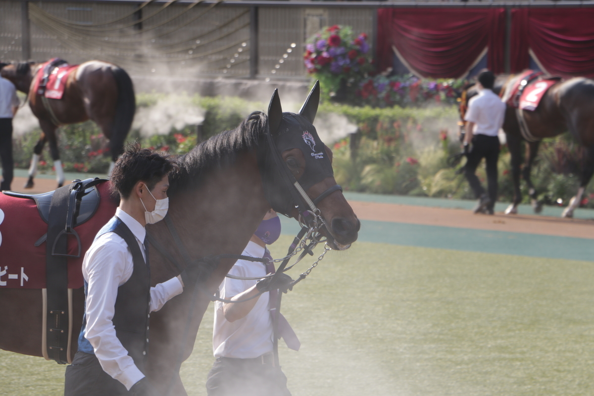 f:id:shitooo:20210531154528j:plain