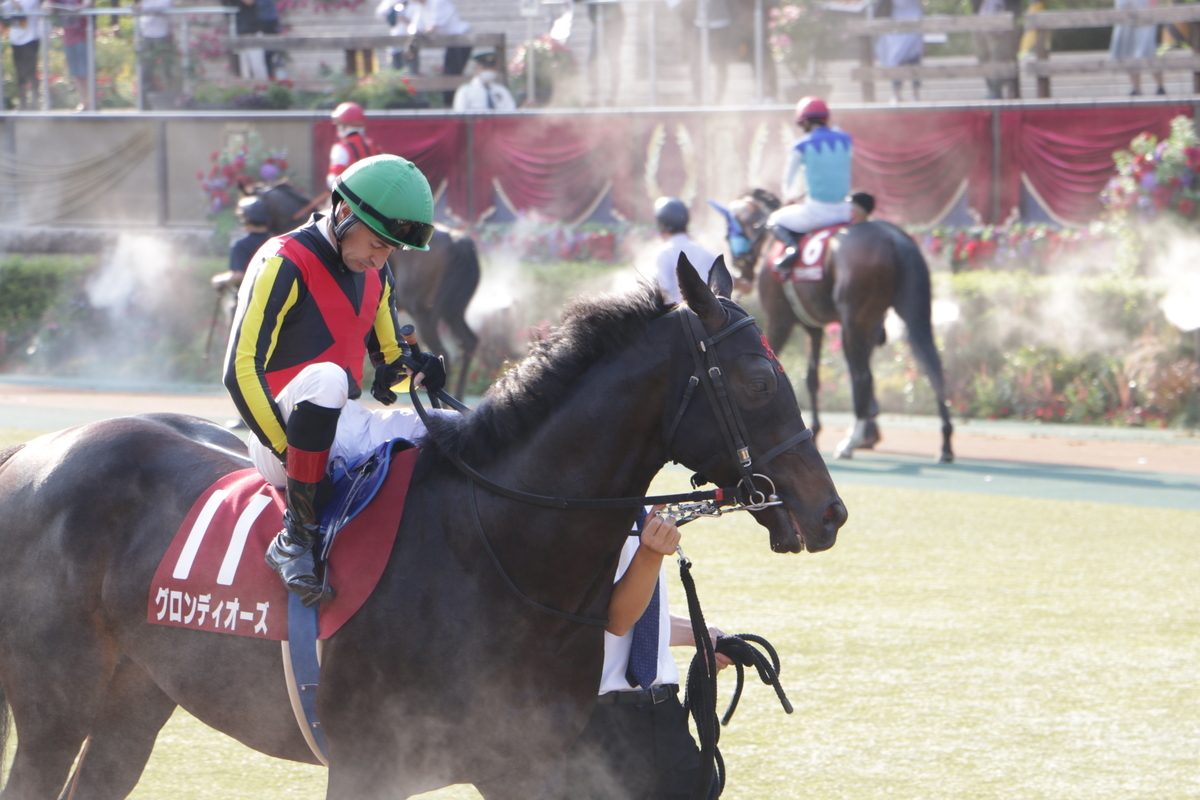 f:id:shitooo:20210531155533j:plain