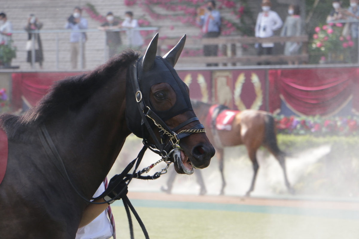 f:id:shitooo:20210531155811j:plain