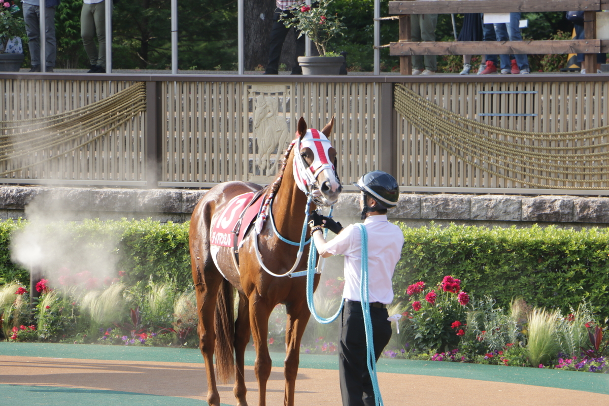 f:id:shitooo:20210531160027j:plain