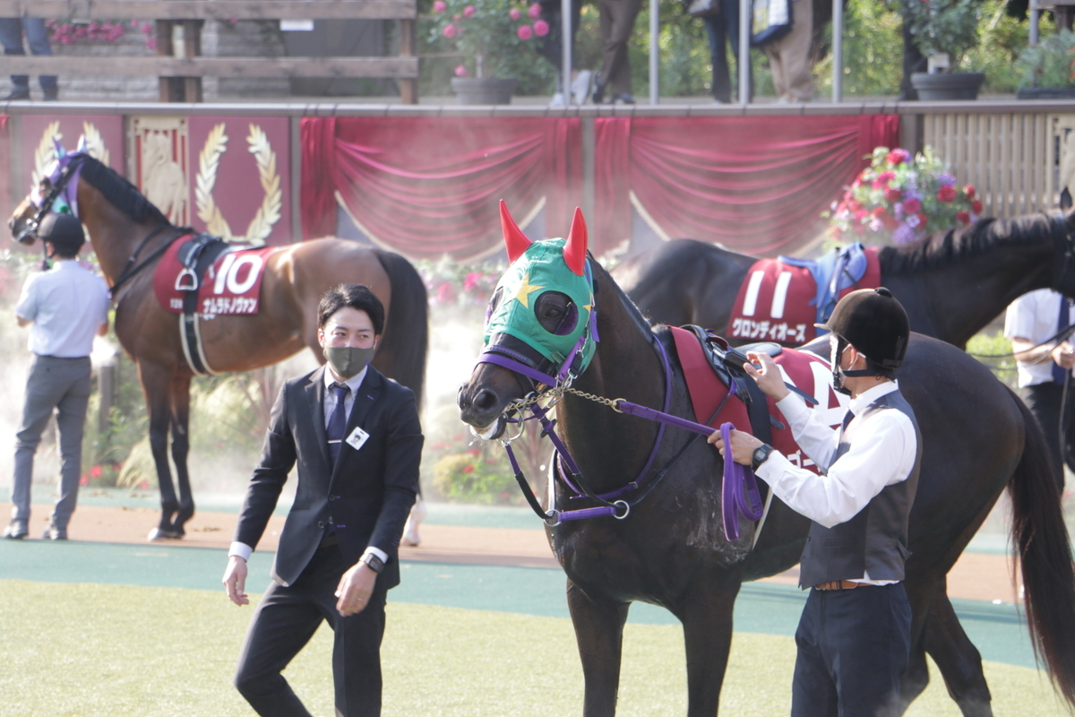 f:id:shitooo:20210531160220j:plain