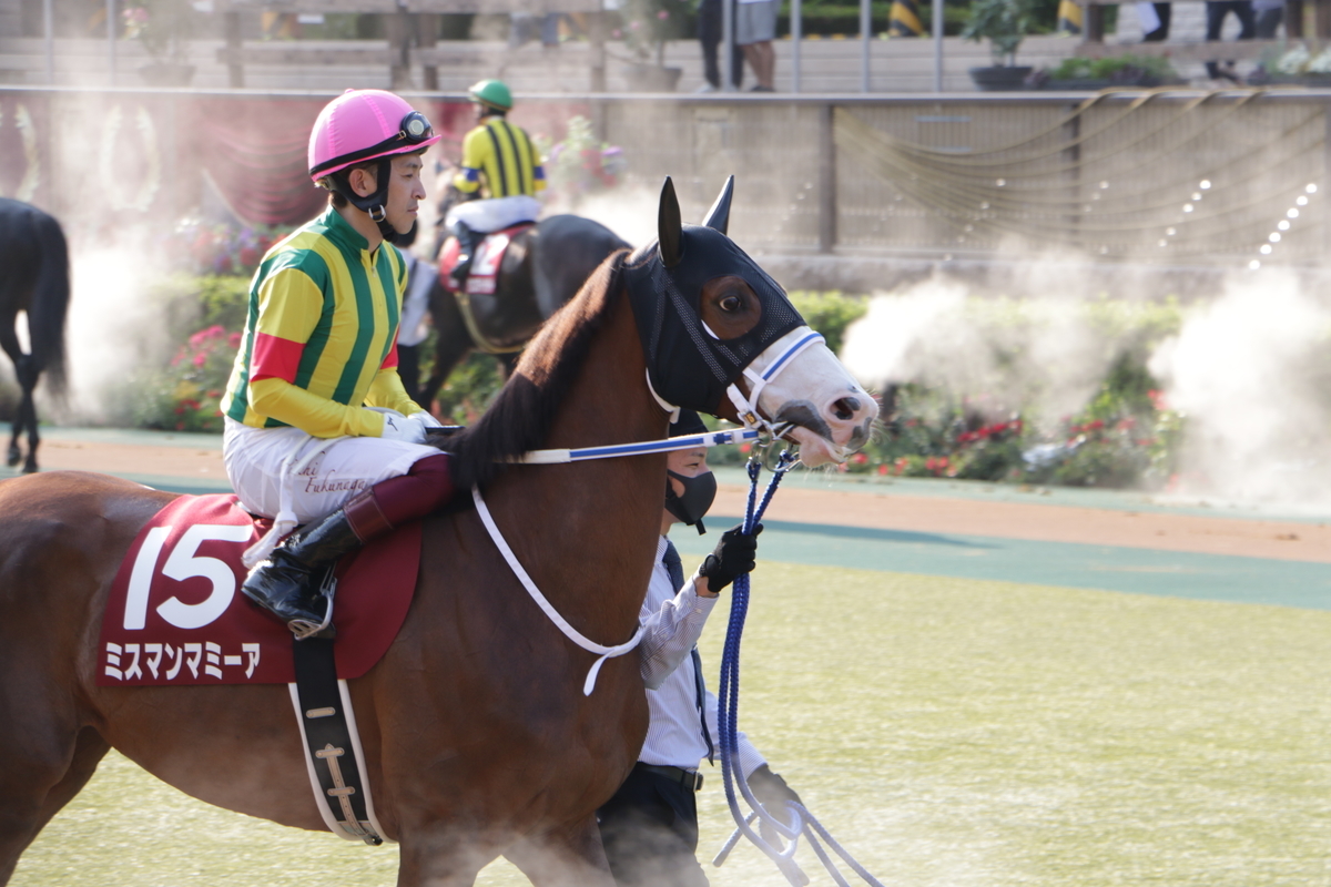 f:id:shitooo:20210531160439j:plain