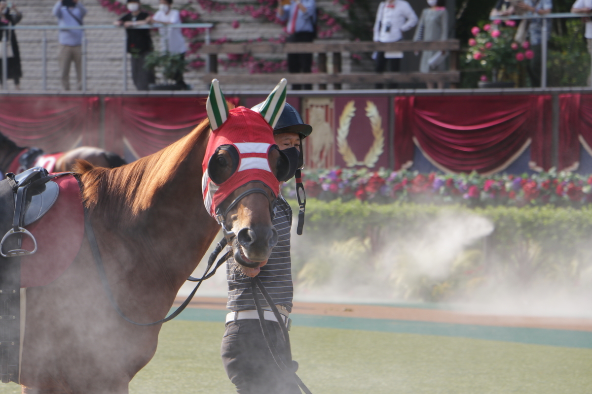 f:id:shitooo:20210531160621j:plain