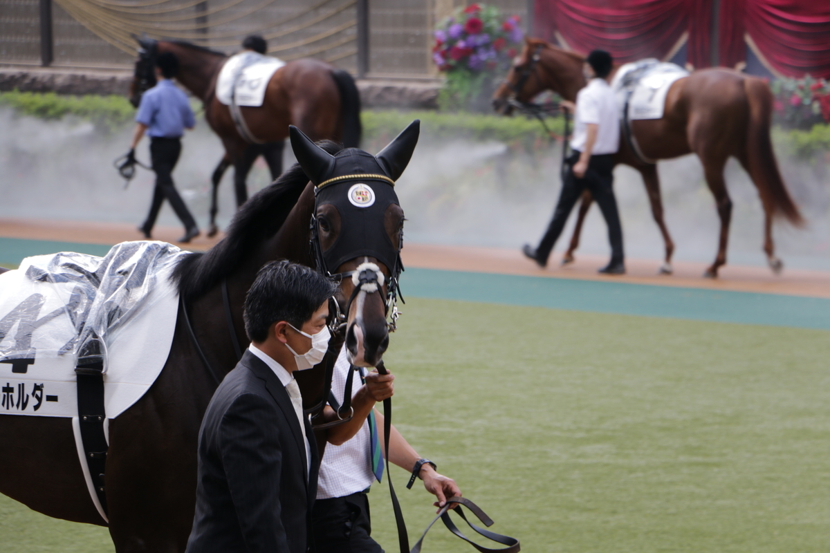 f:id:shitooo:20210531160946j:plain