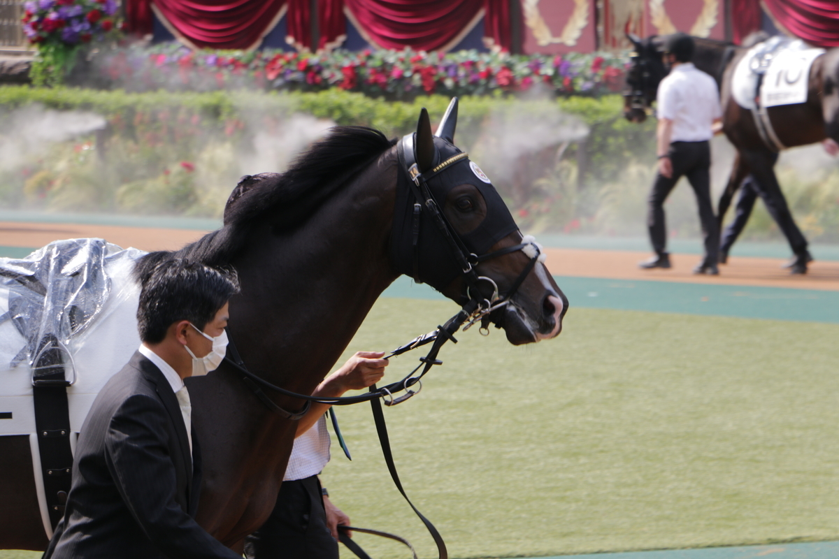 f:id:shitooo:20210531161111j:plain