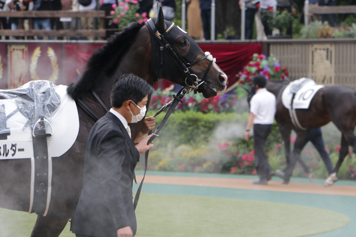 f:id:shitooo:20210531161123j:plain