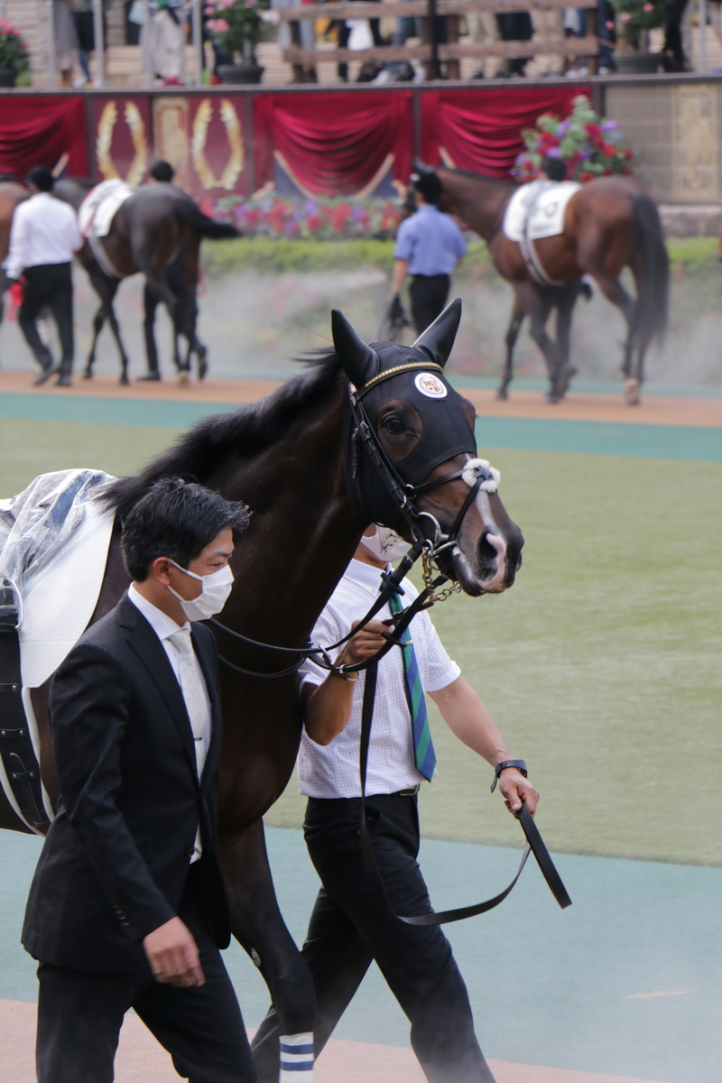 f:id:shitooo:20210531161136j:plain