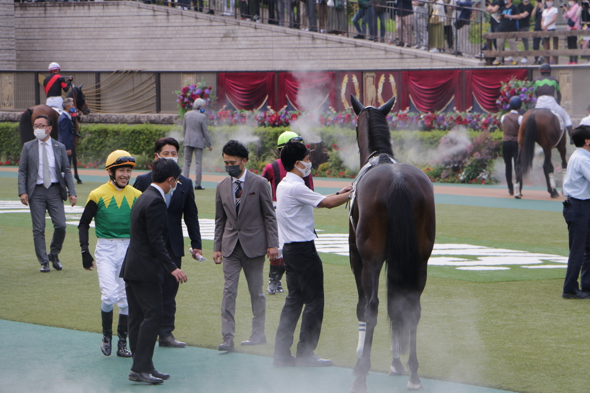 f:id:shitooo:20210531161223j:plain