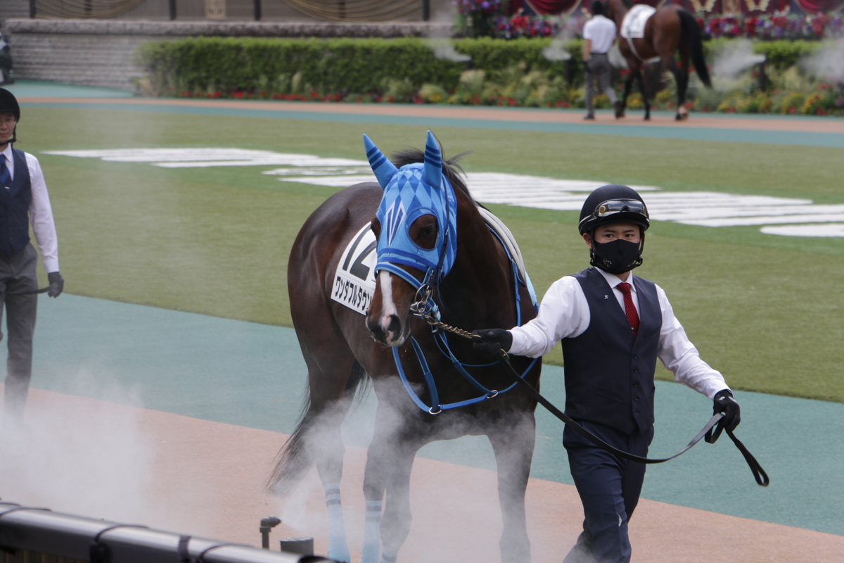 f:id:shitooo:20210531161809j:plain