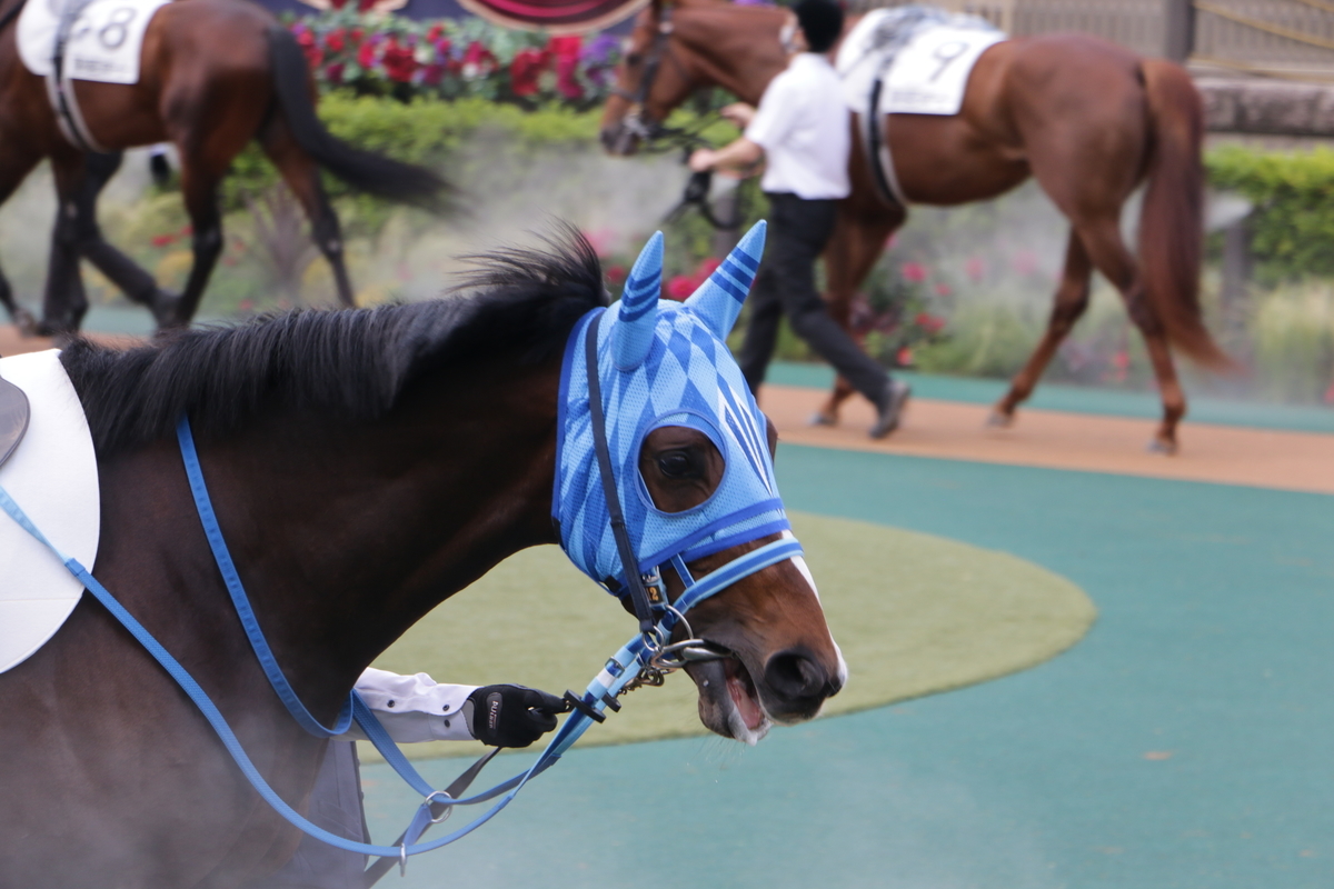 f:id:shitooo:20210531161847j:plain