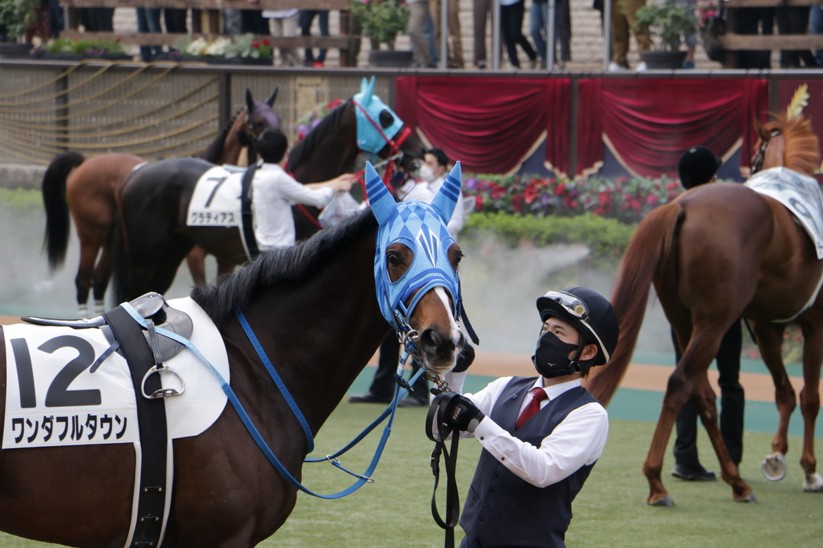 f:id:shitooo:20210531162327j:plain