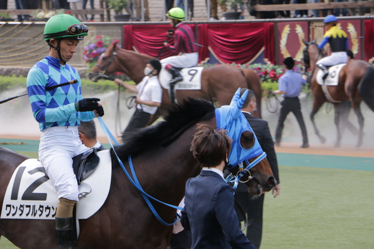 f:id:shitooo:20210531162933j:plain