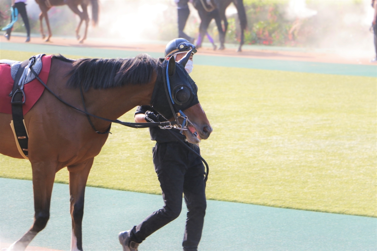 f:id:shitooo:20210531163232j:plain