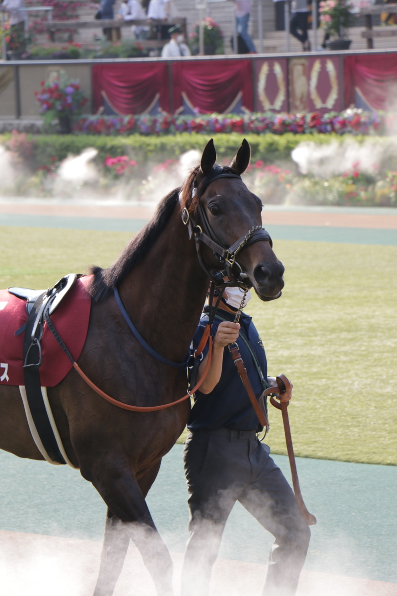 f:id:shitooo:20210531163759j:plain