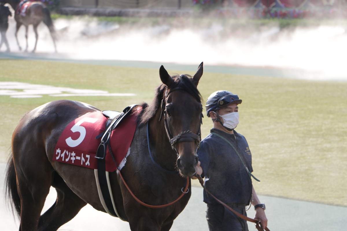 f:id:shitooo:20210531163803j:plain