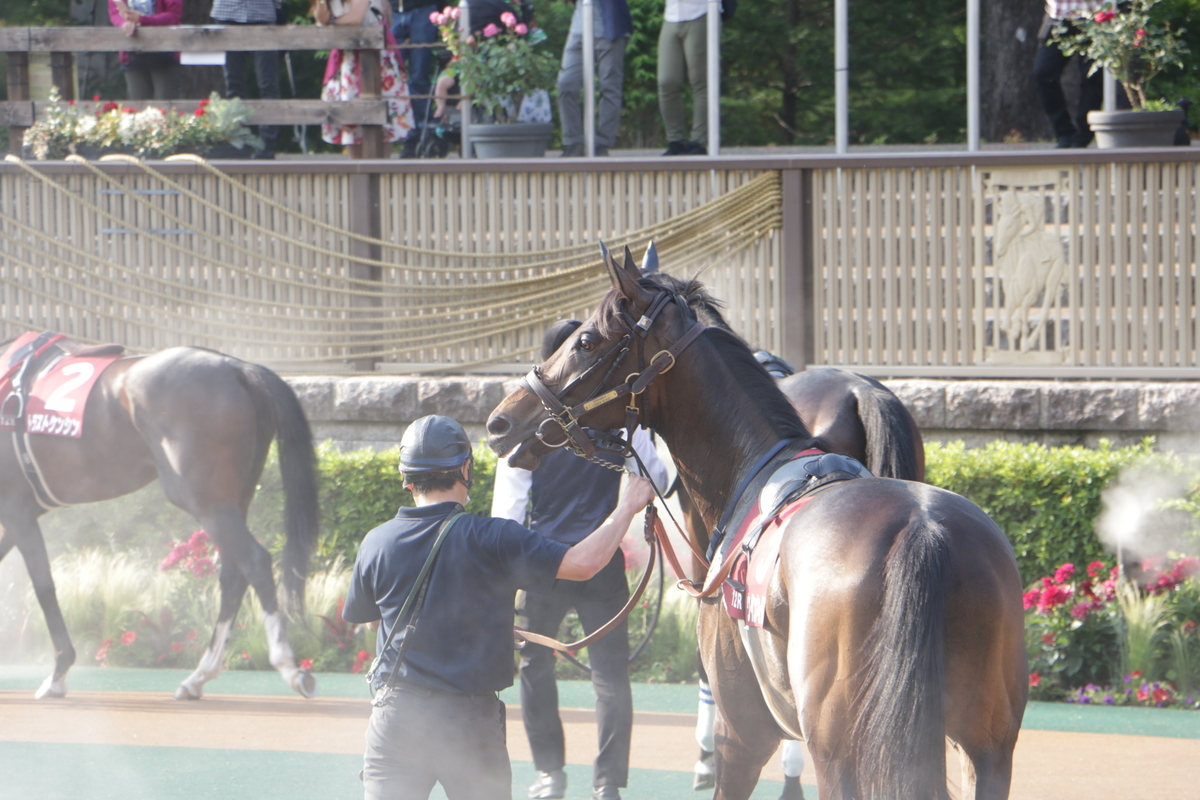 f:id:shitooo:20210531163836j:plain