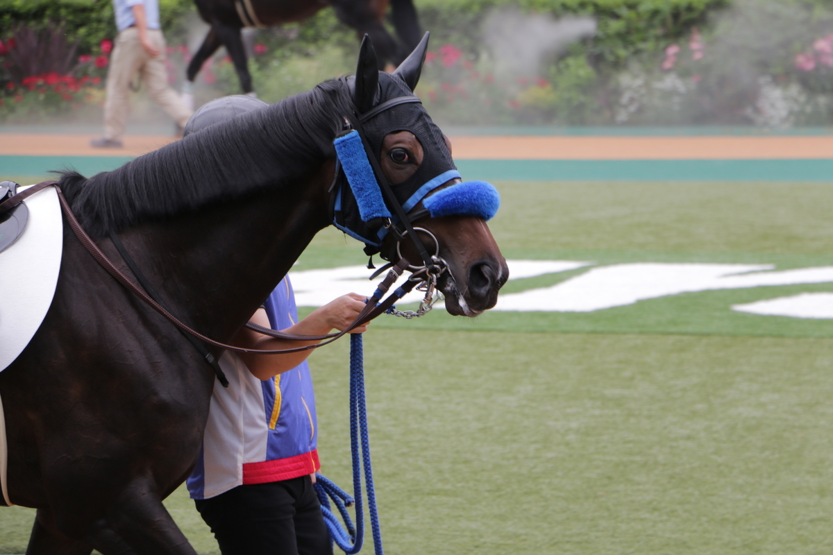 f:id:shitooo:20210627113627j:plain