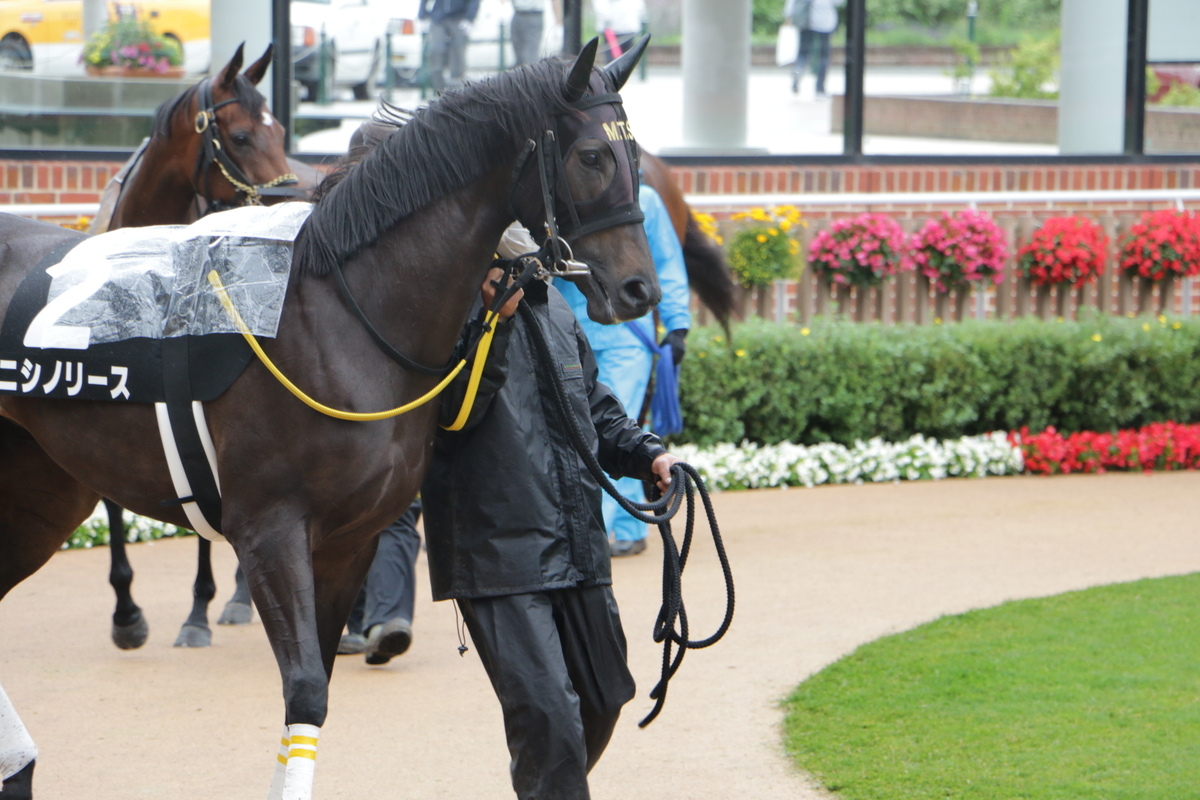 f:id:shitooo:20210712090330j:plain