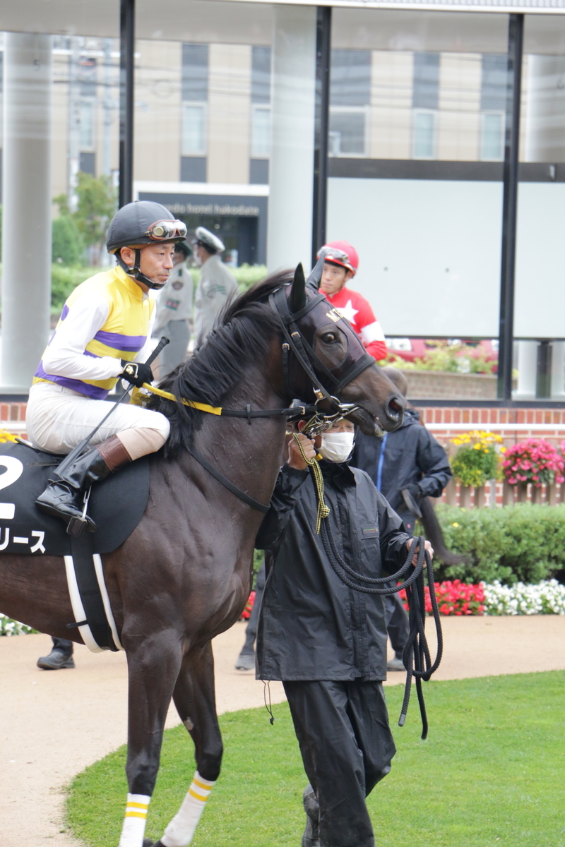 f:id:shitooo:20210712090749j:plain