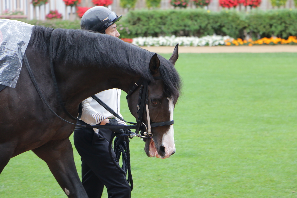 f:id:shitooo:20210712090903j:plain