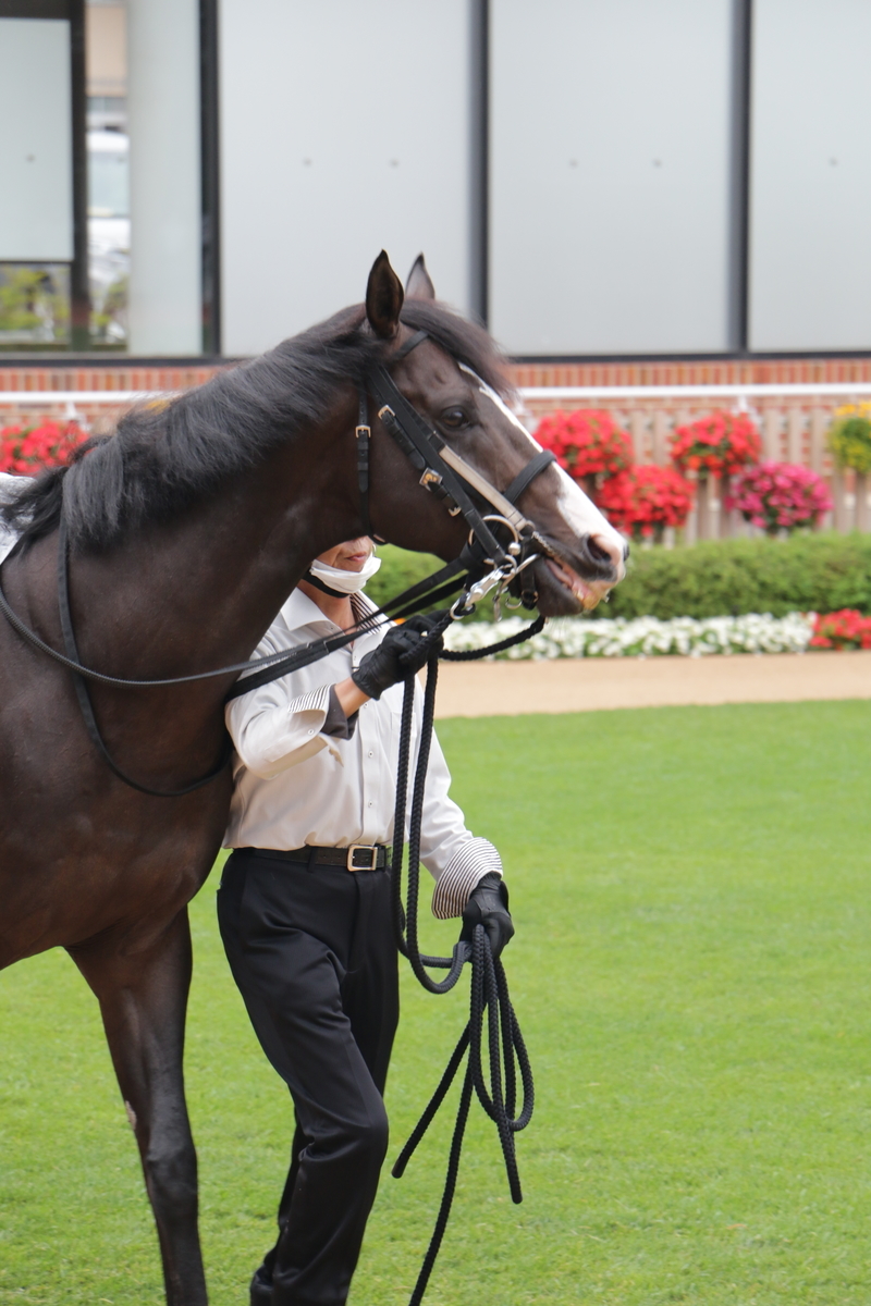 f:id:shitooo:20210712090957j:plain