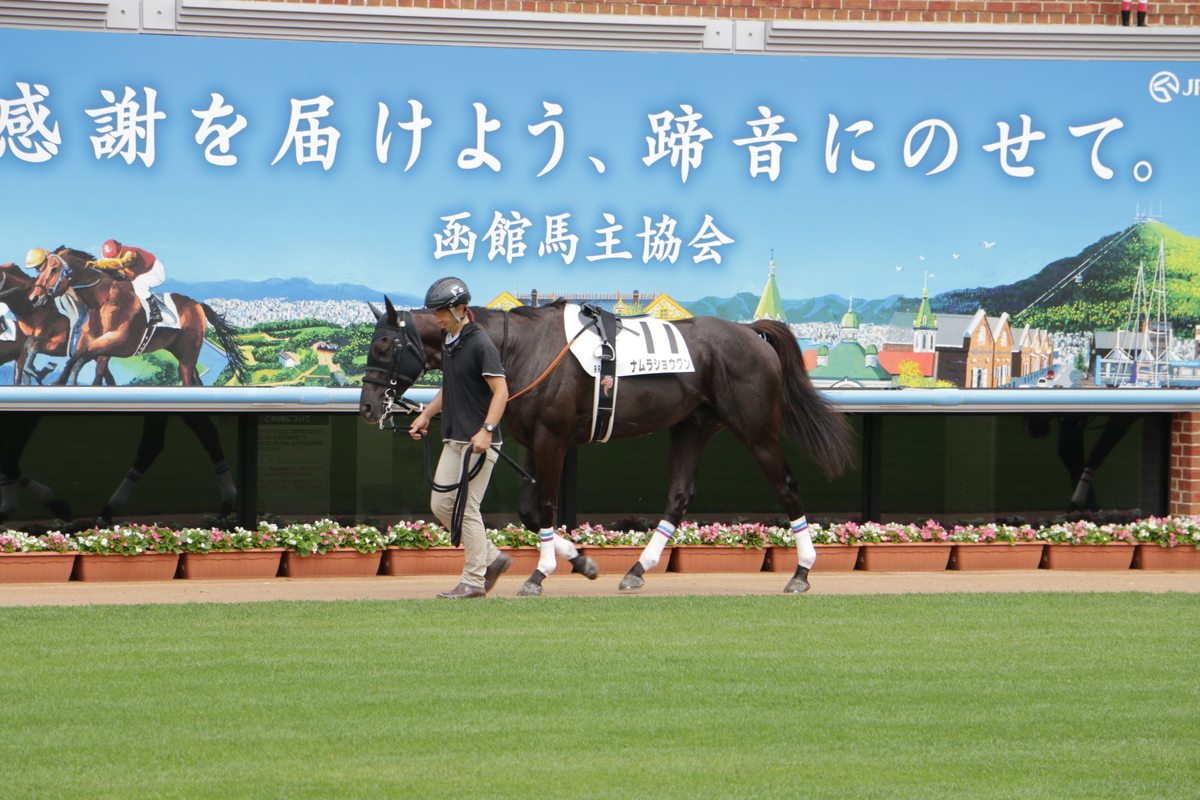 f:id:shitooo:20210712091135j:plain