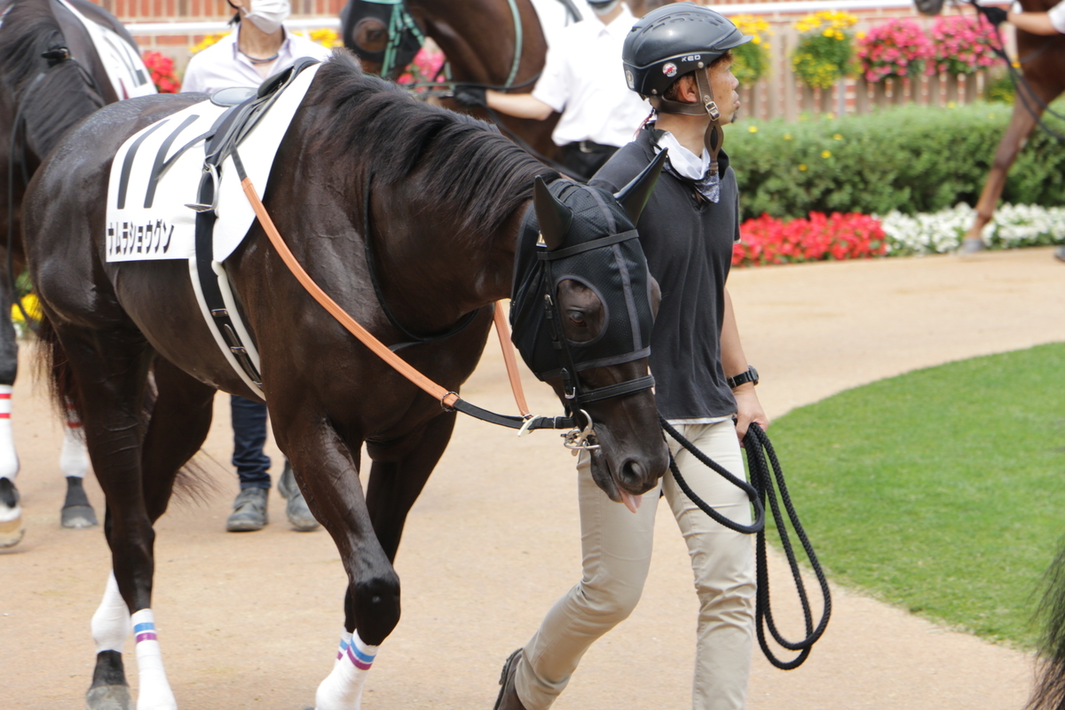 f:id:shitooo:20210712091157j:plain