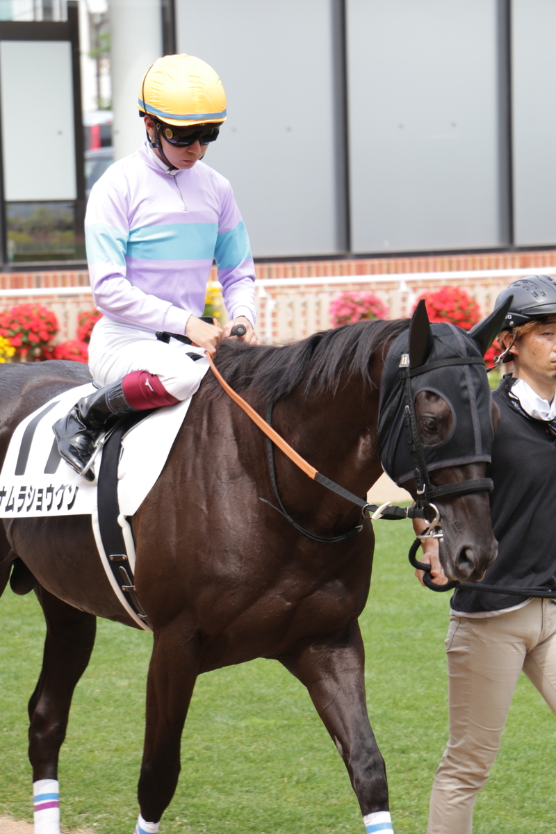 f:id:shitooo:20210712091237j:plain