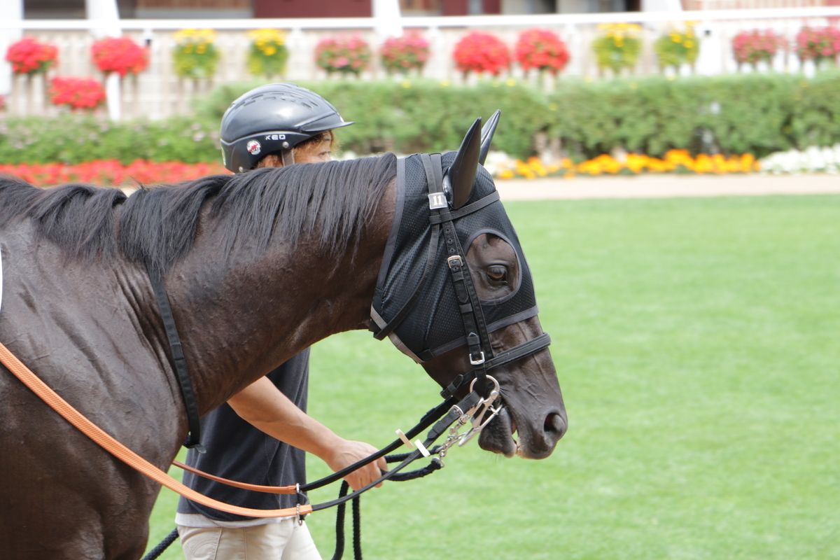 f:id:shitooo:20210712091241j:plain