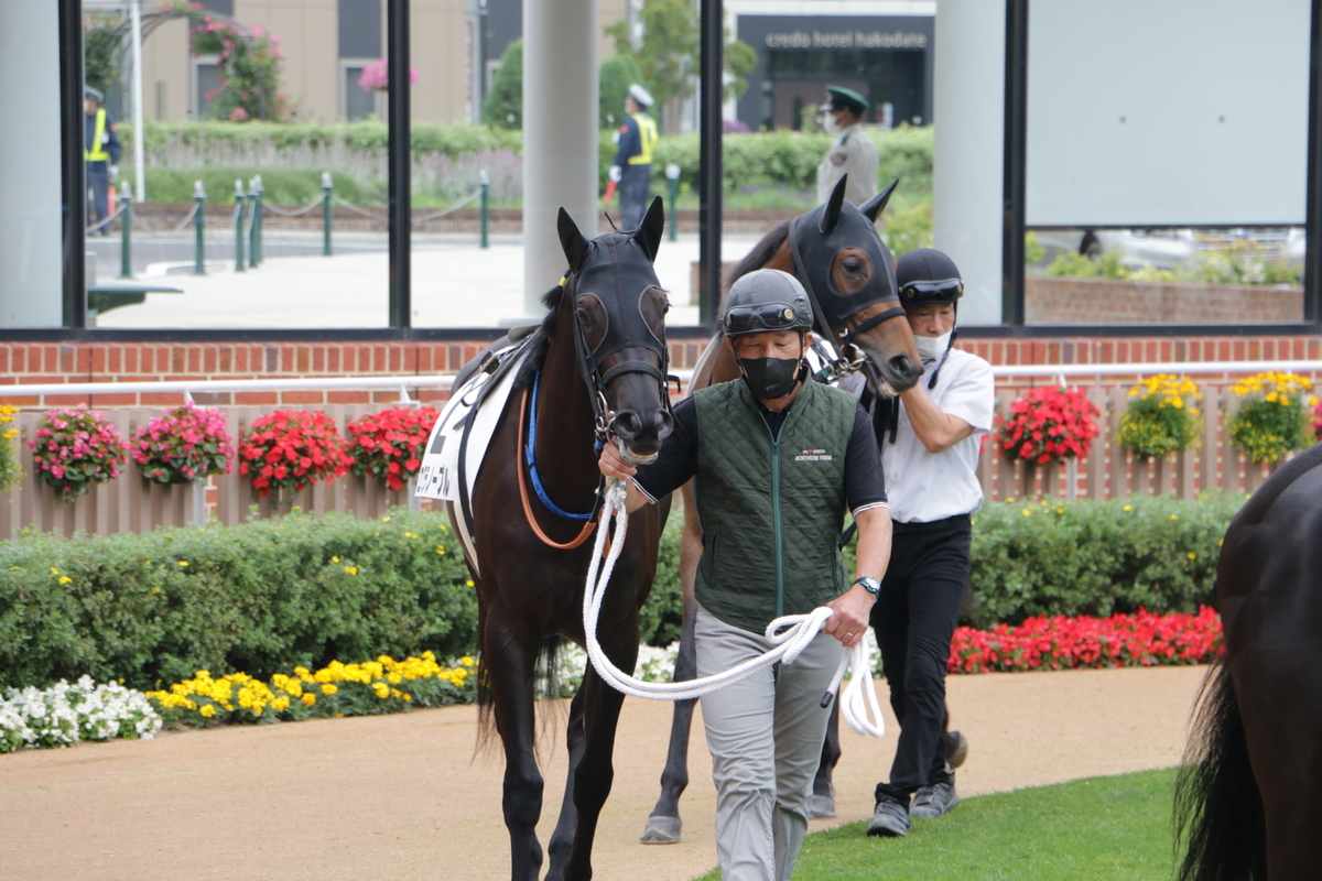 f:id:shitooo:20210712092500j:plain