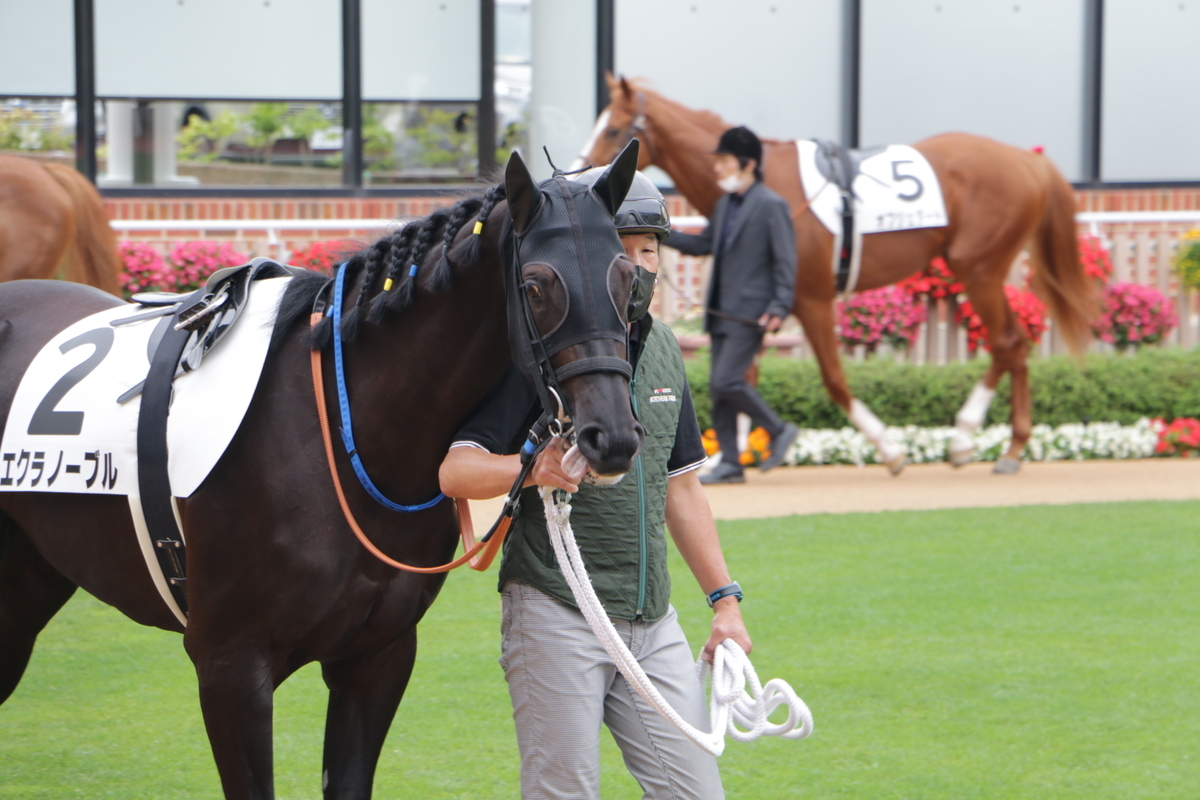 f:id:shitooo:20210712092512j:plain