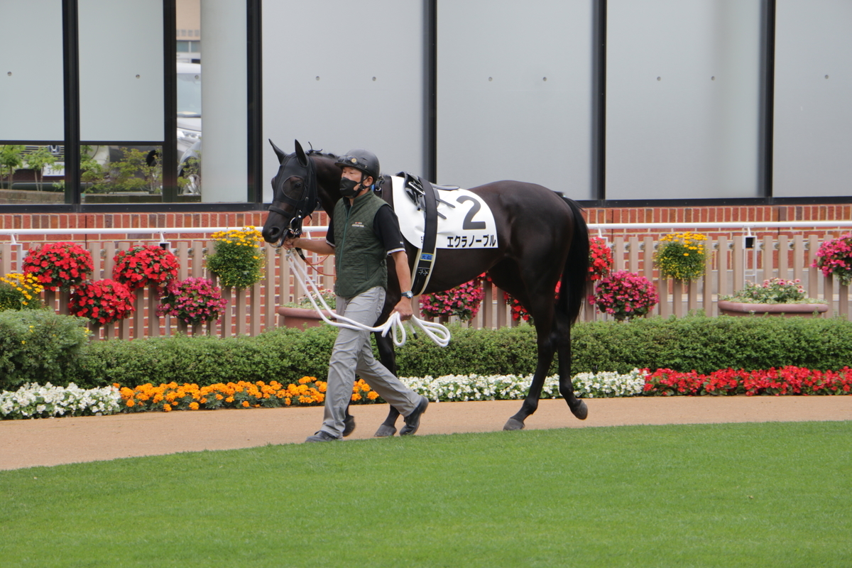 f:id:shitooo:20210712092519j:plain