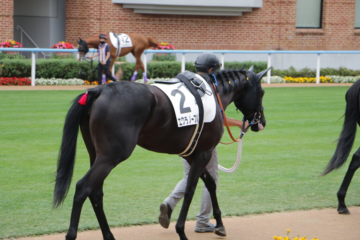 f:id:shitooo:20210712092538j:plain