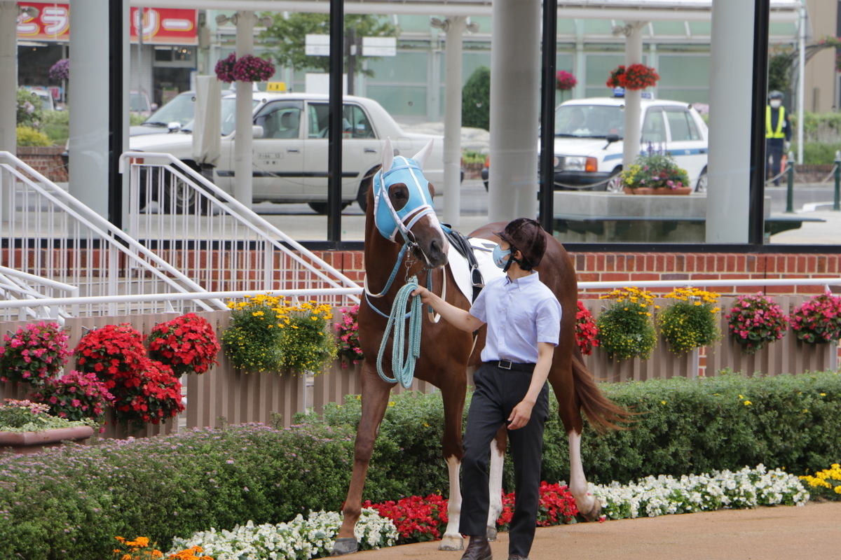 f:id:shitooo:20210712093334j:plain