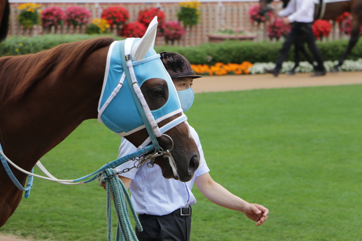 f:id:shitooo:20210712093409j:plain