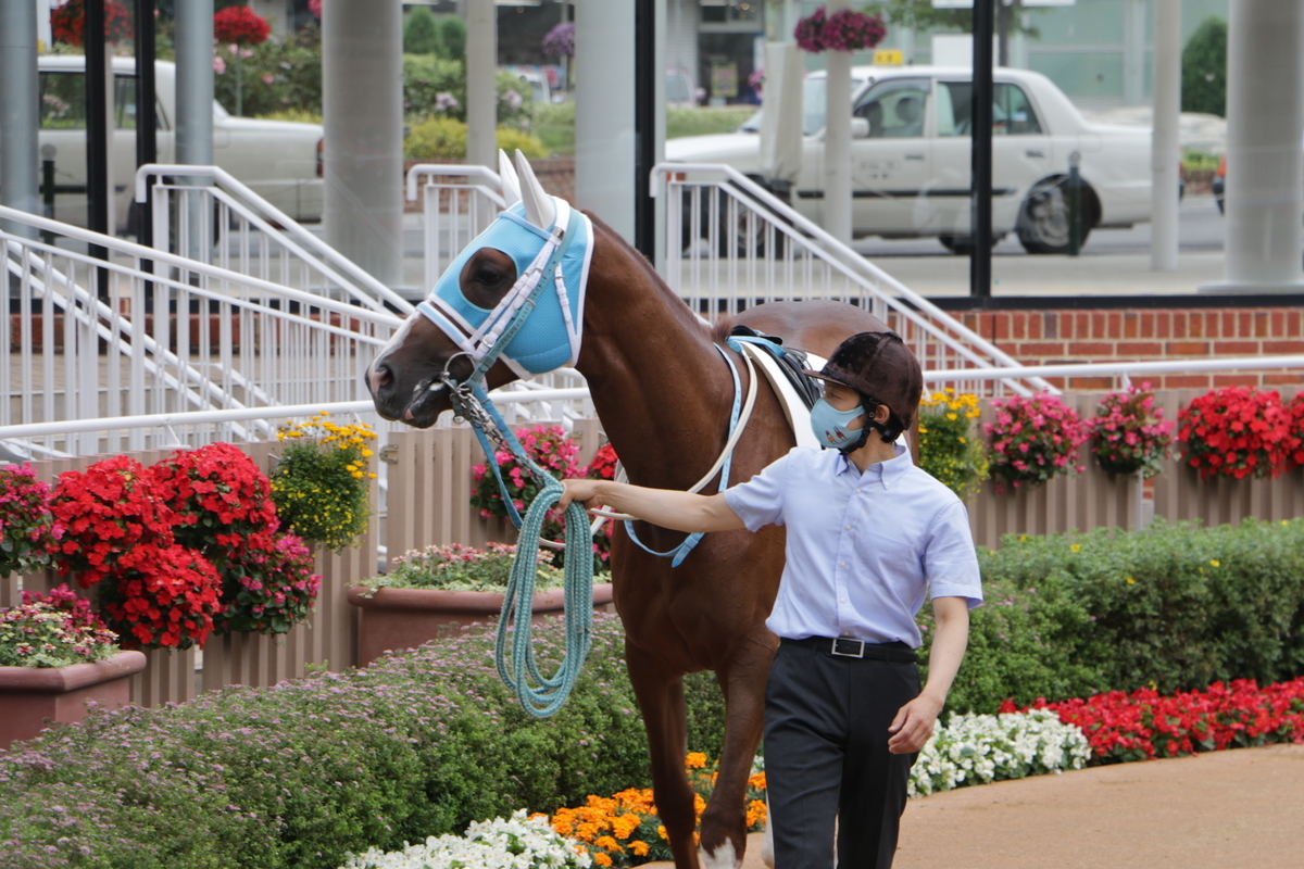 f:id:shitooo:20210712093436j:plain