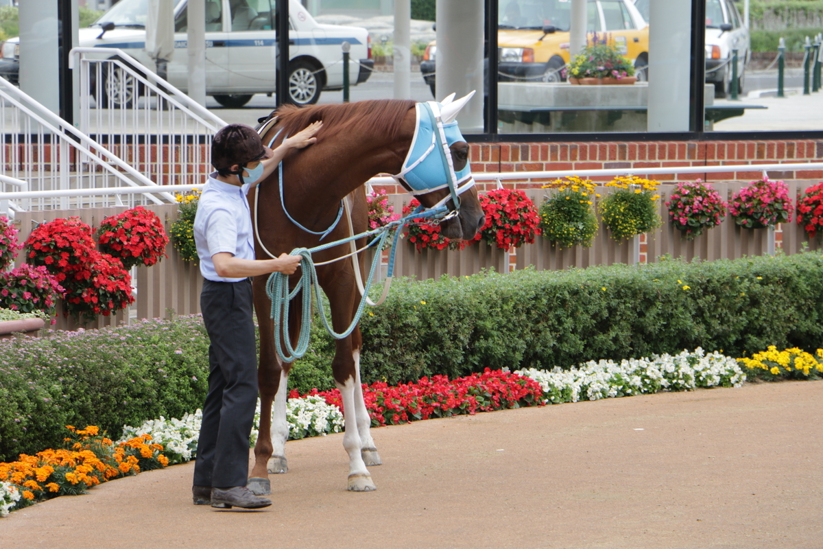 f:id:shitooo:20210712093451j:plain