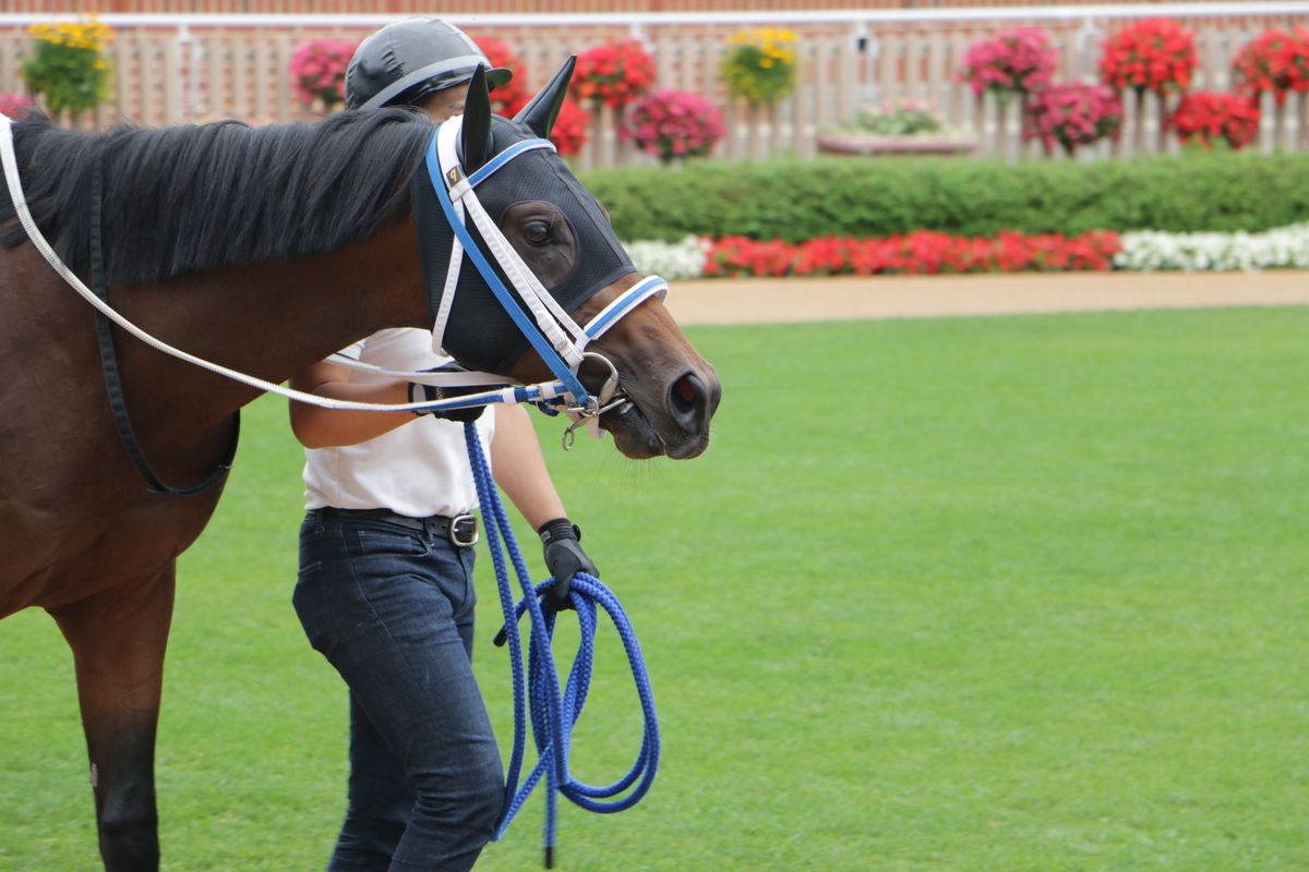 f:id:shitooo:20210712093640j:plain