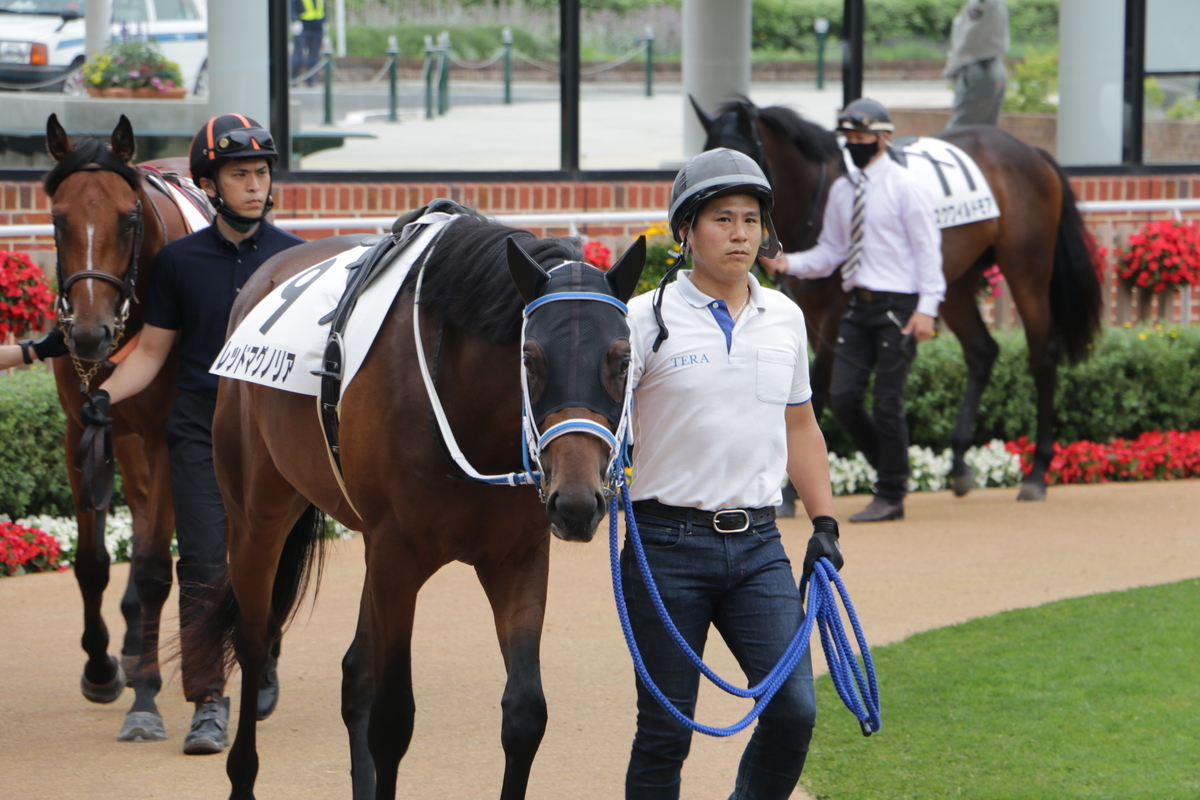 f:id:shitooo:20210712093643j:plain