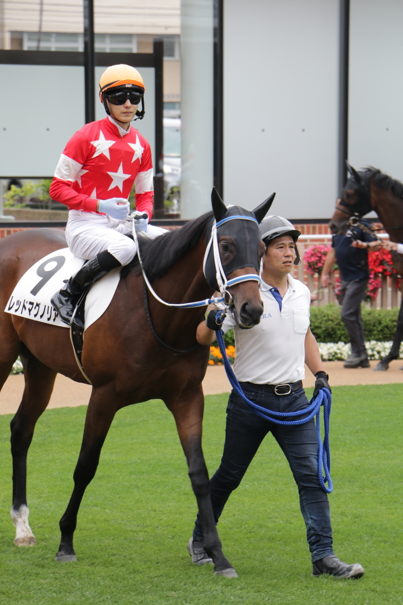 f:id:shitooo:20210712093735j:plain