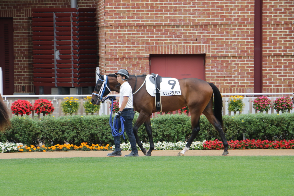 f:id:shitooo:20210712093829j:plain