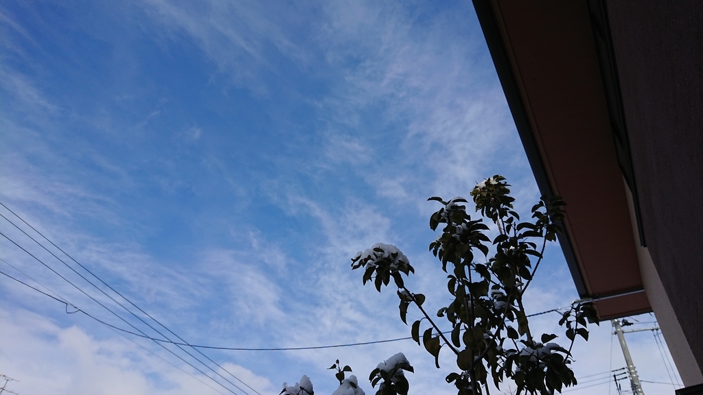 f:id:shittantan:20190126194347j:plain