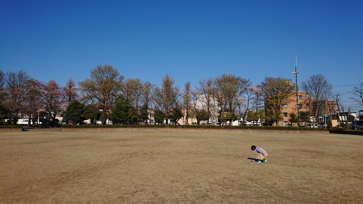f:id:shittantan:20190413204716j:plain f:id:shittantan:20190413204716j:plain