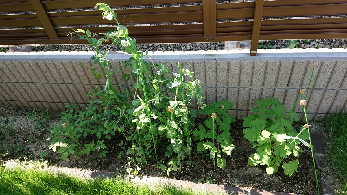 f:id:shittantan:20190802042240j:plain