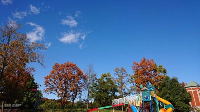 f:id:shittantan:20191117165727j:plain