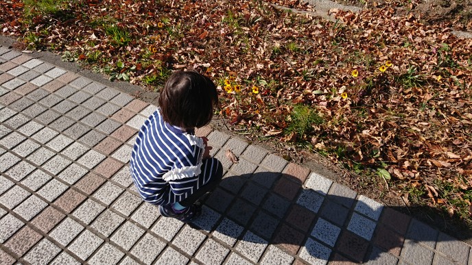f:id:shittantan:20191117165747j:plain