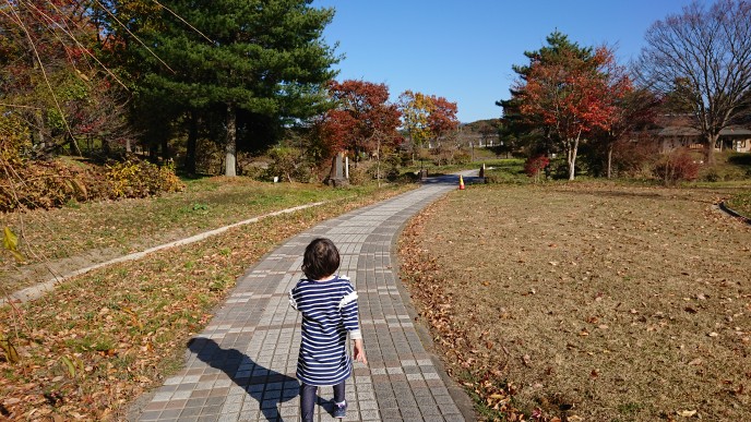 f:id:shittantan:20191117165758j:plain