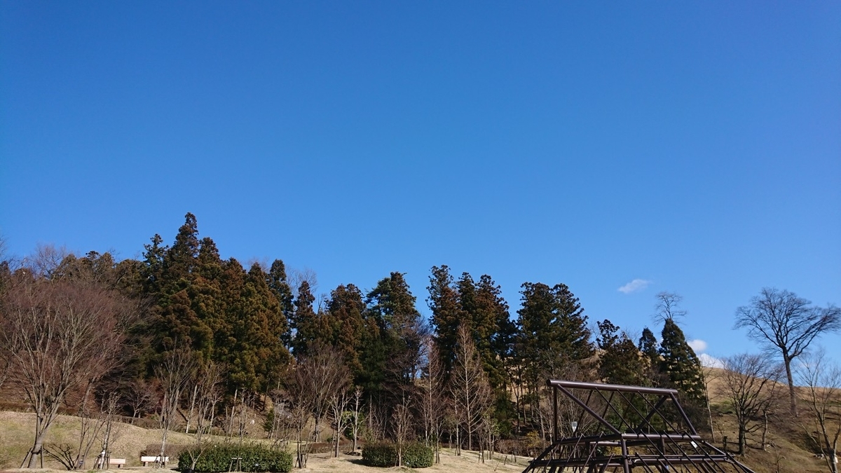 f:id:shittantan:20200315212905j:plain