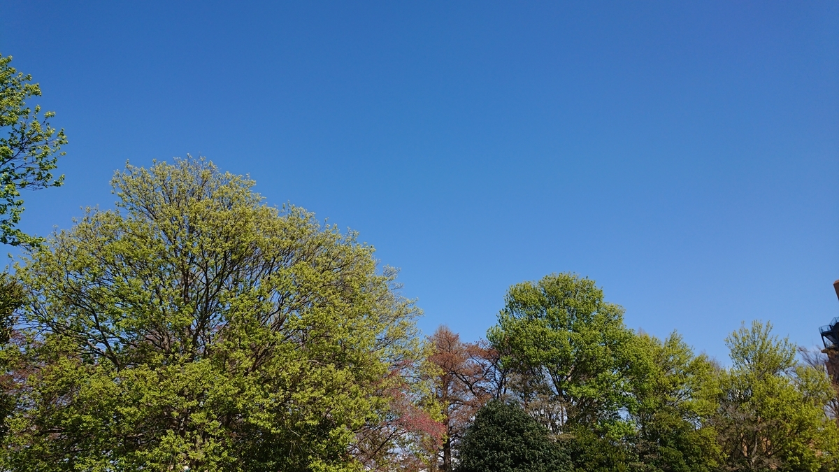 f:id:shittantan:20200427212818j:plain