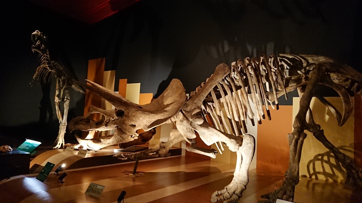 f:id:shittantan:20200816134703j:plain